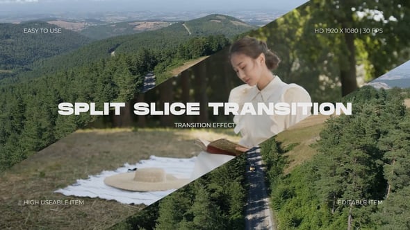 Videohive Split Slice Transition Effect
