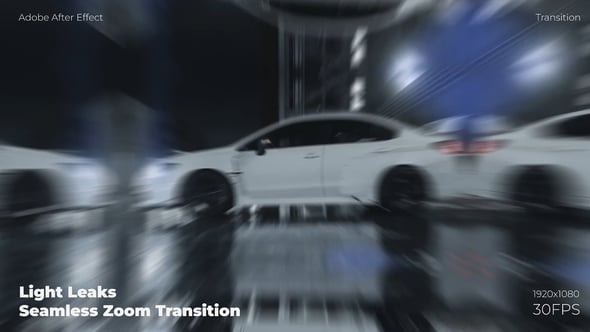 Videohive Light Leaks Seamless Zoom Transition Preview