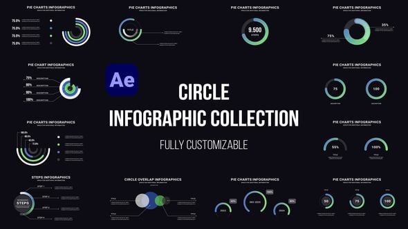 Videohive Circle Infographics