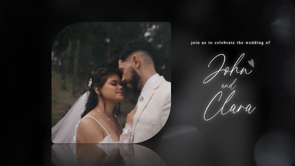 Videohive – Wedding Memories 61764775