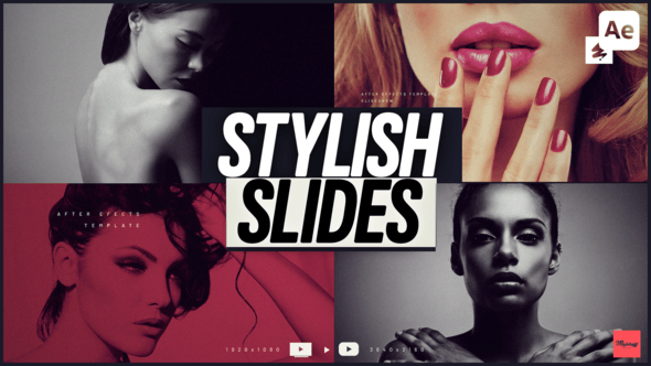 Videohive – Stylish Slides