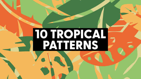 Videohive – Tropical Patterns