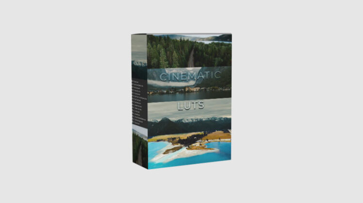 500+ Seamless Transitions Pack +1500 SFX + 46 LUTs