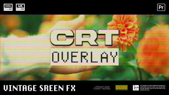 VideoHive Analog Screen Overlay