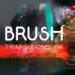 VideoHive Brush Transitions 4K 59431409