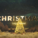 VideoHive Christmas Tree Logo Reveal | PP 61029674
