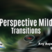 VideoHive Perspective Mild Transition 60651169