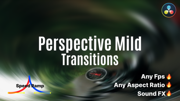 VideoHive Perspective Mild Transition