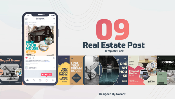 VideoHive Real Estate Post V1