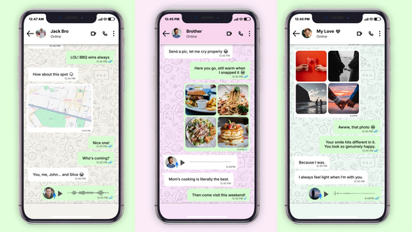 VideoHive Whats App Message
