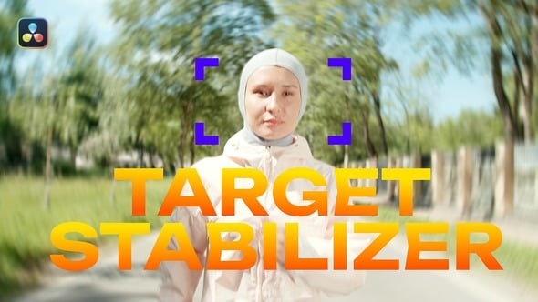 Videohive – Target Stabilizer