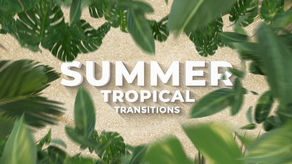 Videohive – Summer Travel Tropical Palm Leaf Transitions