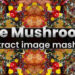 Aescripts I Ate Mushrooms v1.9.64 Free Download