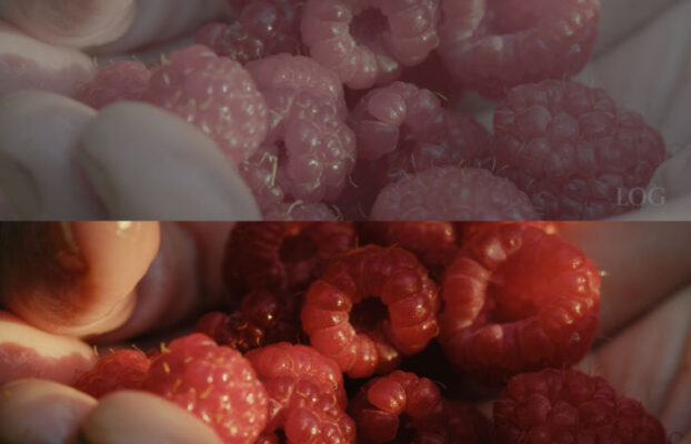 Nostalgia LUTs Nostalgia III Blackmagic
