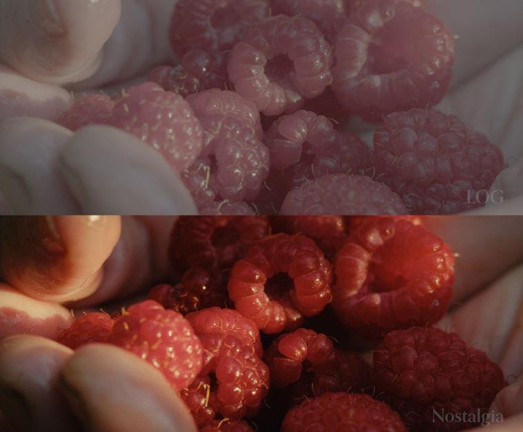 Nostalgia LUTs Nostalgia III Blackmagic