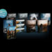 Pascal Basel All Products Bundle