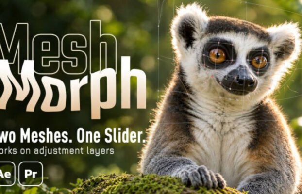 Aescripts MeshMorph v1.4