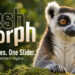Aescripts MeshMorph v1.4