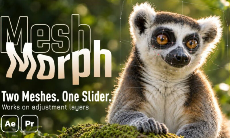 Aescripts MeshMorph v1.4