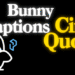 Videohive Bunny Captions – Cine Quote | Auto-Generated Subtitles for DaVinci Resolve